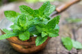 Nika Seeds - Seeds Herb Peppermint Mint Medicinal - 1000 Seeds