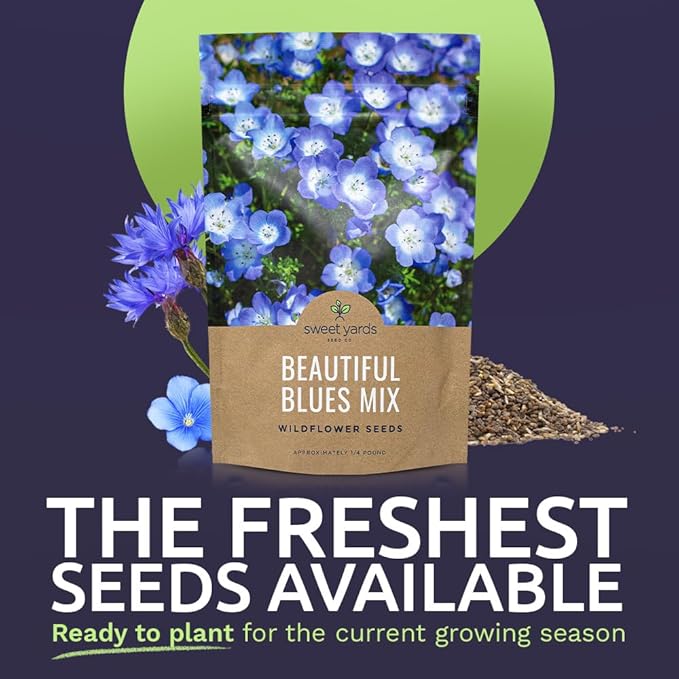 All Blues Wildflower Seeds - Bulk 1/4 Pound Bag - Over 30,000 PureAnnual and Perennial Flower Seeds