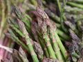 Asparagus Seed- Precoce D'argenteuil,100 Count COOL BEANS n SPROUTS Brand. Home Gardening.