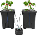 DONSU Hydroponics Growing System, Culture Bucket System, Recirculating Drip Garden System,7.13 Gal Deep Water Culture for Grow Tent, Greenhouse, Garden, Balcony (1)