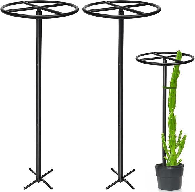 2 Pcs Heavy Duty Dragon Fruit Trellis, 12"x12"x50" Adjustable Metal Dragon Plant Support Stand, Durable Vertical Trellis for Climbing Plants, No-Hammer Assembly for Outdoor Garden (Round)