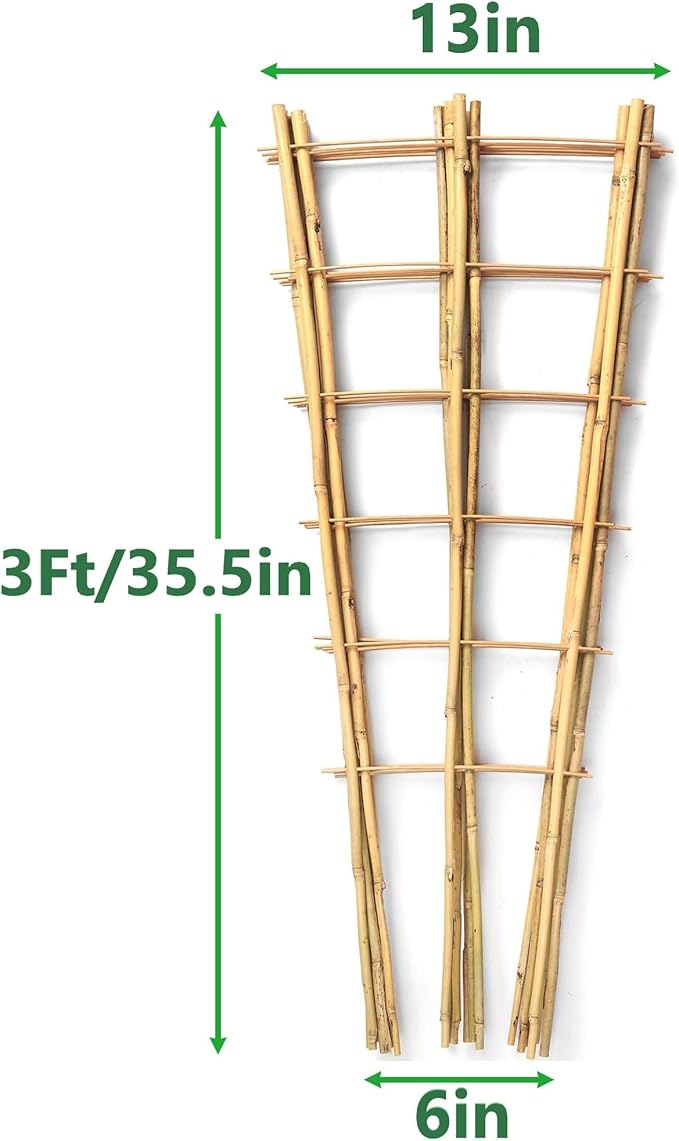 10 Pack 3 Feet Natural Bamboo Trellis, Fan-Shaped Bamboo Plant Trellis for Climbing Plants, Vegetables, Cucumber, Tomato, Outdoor and Indoor Potted Plants
