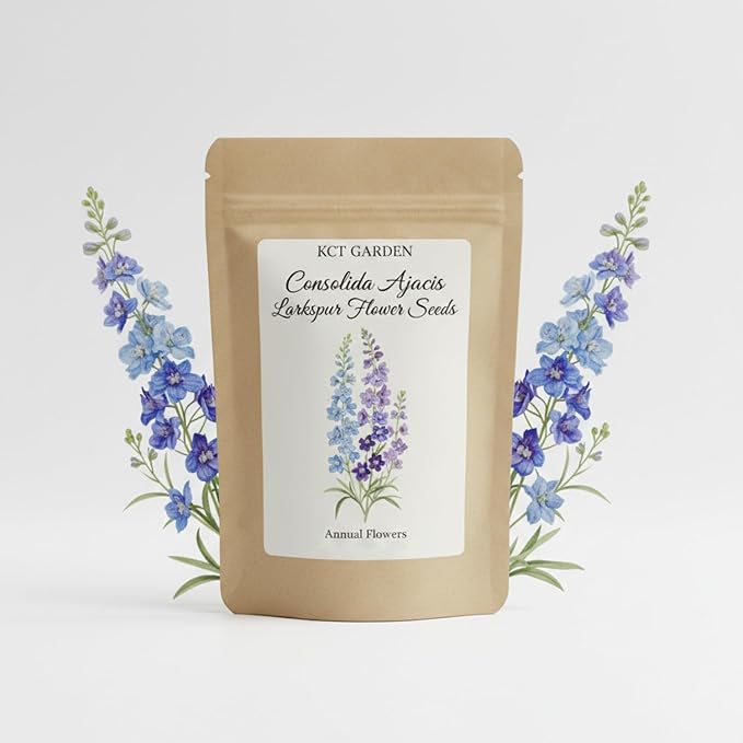 Consolida Ajacis Larkspur Flower Seeds Pack of 500+ Flower Seeds for Planting