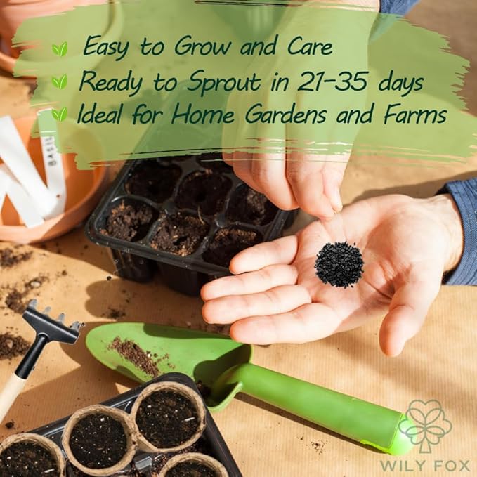 Garlic Seeds for Planting (Allium sativum) - 100+ Heirloom Non-GMO - Easy-Grow Culinary Herb – Robust Flavor, Cold-Hardy, Perennial Vegetable for Home Gardens