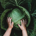 Danish Ballhead Cabbage - 100 Seeds - Heirloom & Open-Pollinated Variety, Non-GMO Vegetable Seeds for Planting Outdoors in The Home Garden, Thresh Seed Company