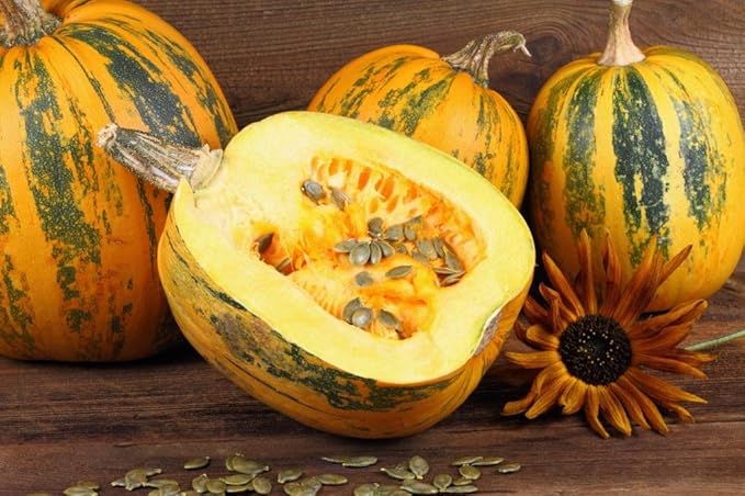 Seeds Pumpkin Muscat Striped Vitamin Big Decorative Ornamental Unique Giant Garden Vegetable for Planting Non GMO