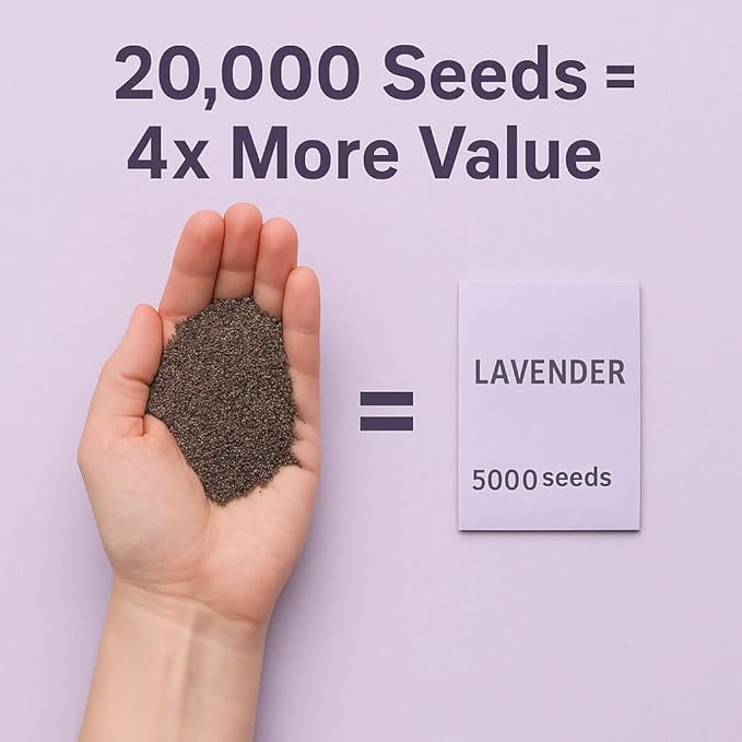 20000+ Lavender Seeds Bulk- Non GMO Premium English Lavender Seeds for Planting Outdoors or Intdoors, 2026 Wildflower Seed Grow Fragrant Gardens, DIY Essential Oils, Perfect for Home Gardeners, Gifts