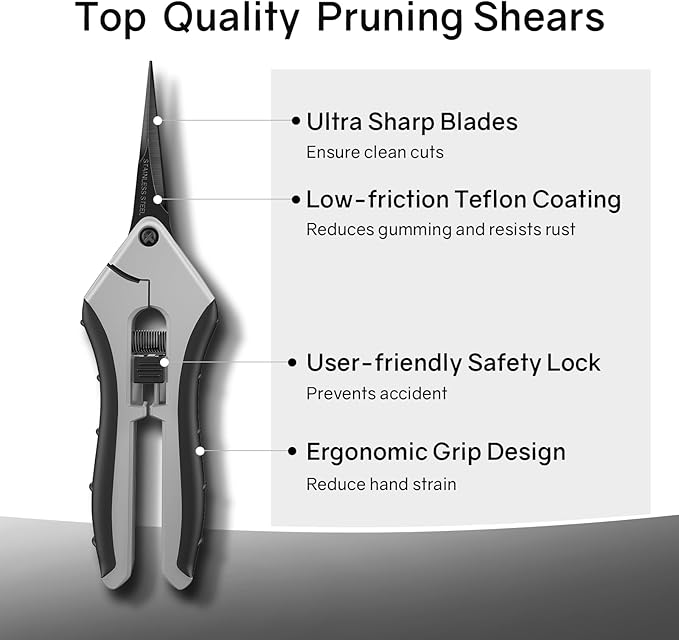 6.5" Ultra Sharp Pruning Shears - Professional Garden Scissors with Curved Stainless Steel Blades, Ergonomic Handle, Rust Resistant, Safety Lock, Trimming Scissors for Plants in Grow Tents, 2-Pack