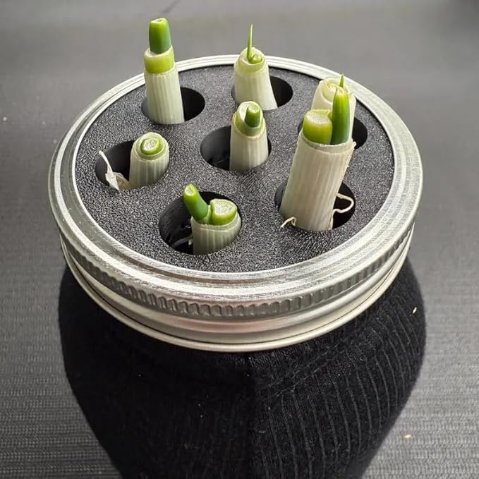 Green Onion Grow for Mason Jar Lid of 6cm,Minimal Kitchen Garden Propagation Station,3D Printed Easy Hydroponic Insert Black