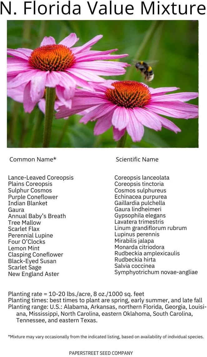 Northern Florida Bulk Perennial Wildflower Seed Mix 1lb Covers 2,000sq-ft - Attract Pollinators, Multi-Color Blooms - Southeast US Species Plant in Spring/Fall, Earth-Friendly Packaging (1/4 Pound)
