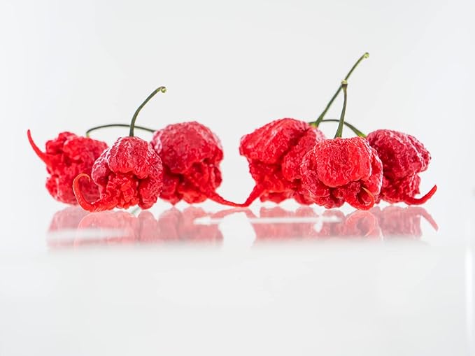 Pepper Joe’s Carolina Reaper Seeds – Pack of 10+ World’s Hottest Chili Pepper Seeds – USA Grown – Premium Non-GMO Carolina Reaper Seeds for Planting