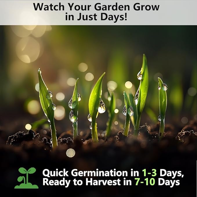 Cat Grass Kit for Indoor Cats, 3 Pack Fast Growing Cat Grass Kit with Eco-Friendly Biodegradable Pots, Soil & Organic Wheatgrass Seeds, Grows in 3-7 Days with High Germination Rate