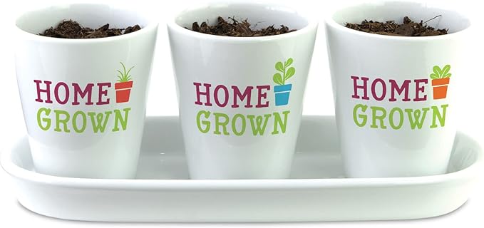 Home Grown Hydroponic Growing Kit - Tools & Instructions for No-Waste Kitchen Gardening. Ages 8 and up.