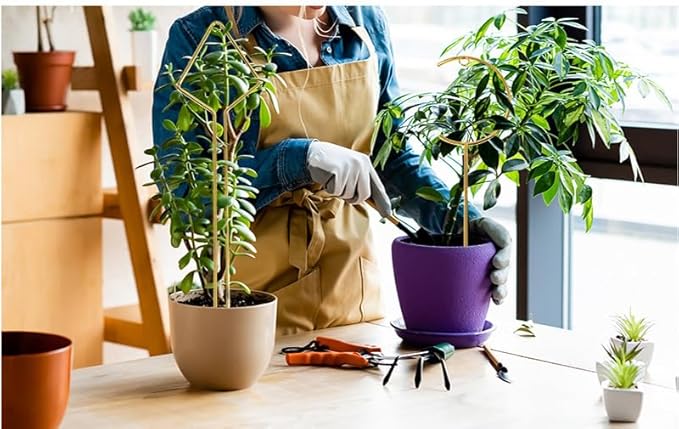 Plant Trellis Indoor - 4 Pack Small Hoop Trellis Mini for Climbing Plants Indoor, 15.7 Inch Indoor Plant Trellis with Different Patterns, Vine Plant Support for Flower Pothos (Gold)