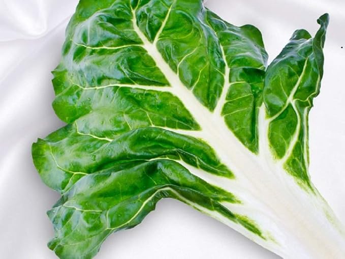 White Ribbed Swiss Chard Seeds 25 Count, COOL BEANS N SPROUTS Brand. Heirloom. Non-GMO. Home Gardening.