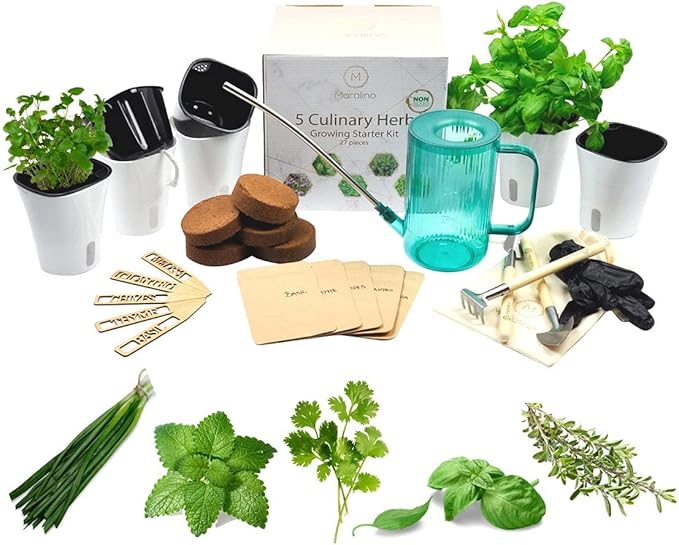 5 Herb Garden Kit Indoor - Kitchen Windowsill Self Watering Herb Garden Kit Indoor Starter Set Grow Organic Seeds Basil, Cilantro, Chives, Thyme, Lemon Balm (Melissa)