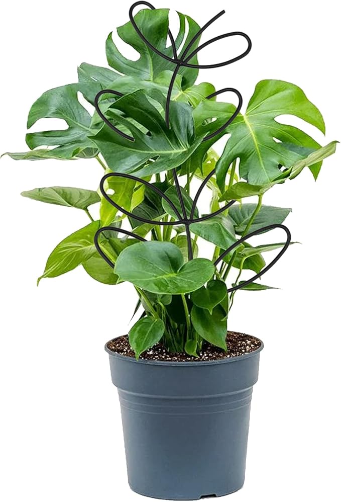 KEILEOHO 8 Packs 12 Inch Metal Leaf Shape Small Trelli, Indoor Plant Trellis Garden Trellis for Climbing Potted Plants, Black