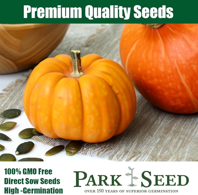 Park Seed Mini Harvest Blend Pumpkin Seeds, Miniature Pumpkin Seeds, Pack of 25 Seeds