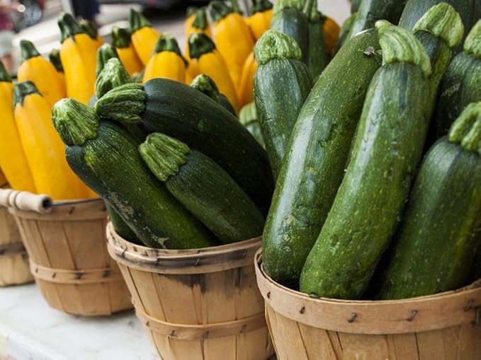 Seeds4planting - Seeds Zucchini Courgette Squash Summer Mix 35 Days Fast Heirloom Vegetable Non GMO