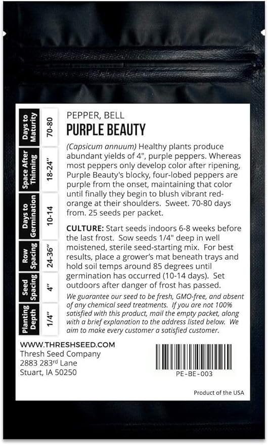 Purple Beauty Bell Pepper - 25 Seeds - Heirloom & Open-Pollinated Variety, Non-GMO Vegetable Seeds for Planting in The Home Garden, Thresh Seed Company