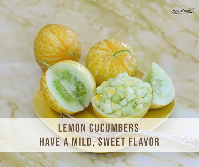 Lemon Cucumber Seeds - 100 Heirloom, Non-GMO Seeds, Excellent for Any Home Garden, Simple to Grow, Delicious Flavor, Quick Grow Cycle