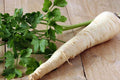 Seeds4planting - Sugar Parsley Root Heirloom Herbs Non GMO for Planting 2000 Seeds