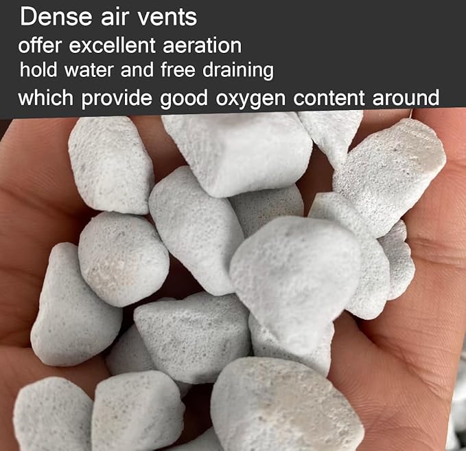 20QT Organic Perlite Horticultural Soil Amendment for Plants and Enhanced Drainage Enhanced