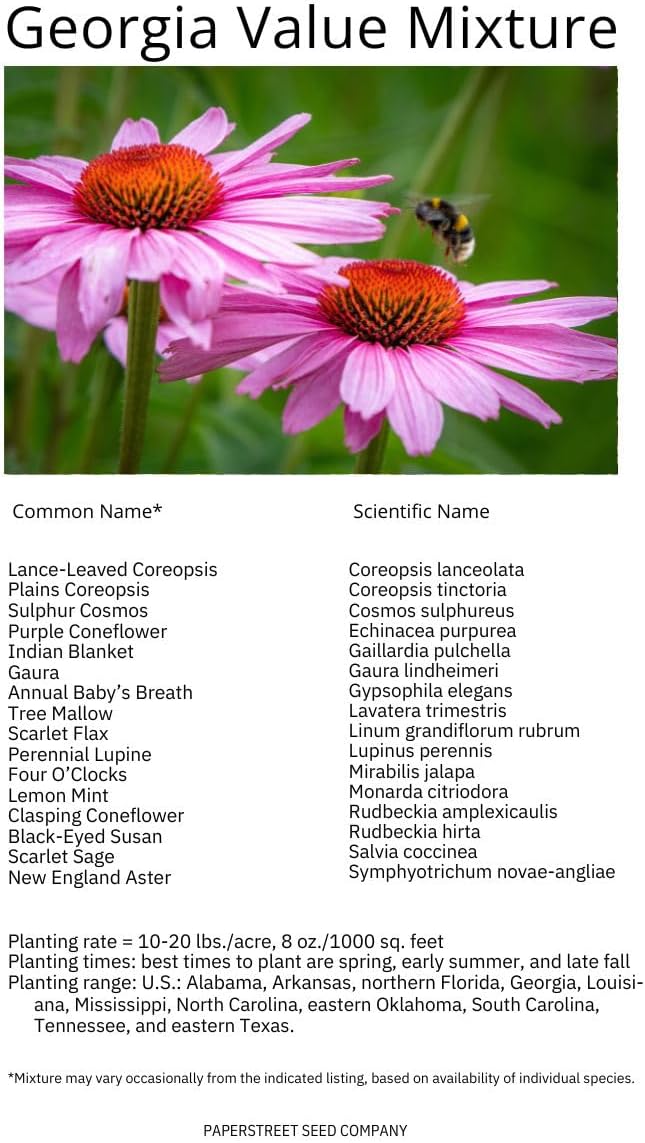 Georgia Bulk Perennial Wildflower Seed Mix 1lb Covers 2,000sq-ft - Attract Pollinators, Multi-Color Blooms - Southeast US Species Plant in Spring/Fall - Earth-Friendly Packaging (1/2 Pound)
