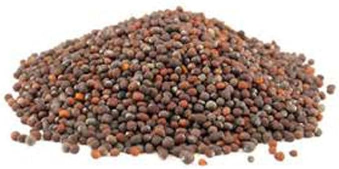 Non-GMO Broccoli Seeds for Sprouting Sprouts Microgreens (4 oz of Pure Seed. Country Creek LLC. Brand.