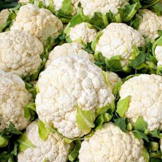 Set 3 Cauliflower Plants Live, Cauliflower Live Plants, 4 Inc Pot, Ready to Grow Vegetable Plants for Garden
