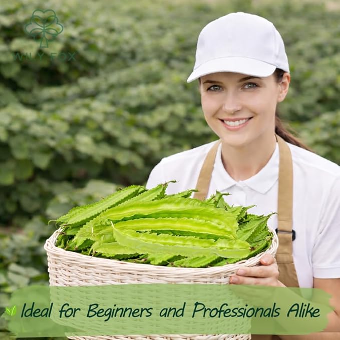 Winged Bean Seeds (Dragon Bean) – 50+ Non-GMO, High-Yielding Heirloom Seeds for Planting – Four-Angled Bean, Easy to Grow, Nutritious Vegetable