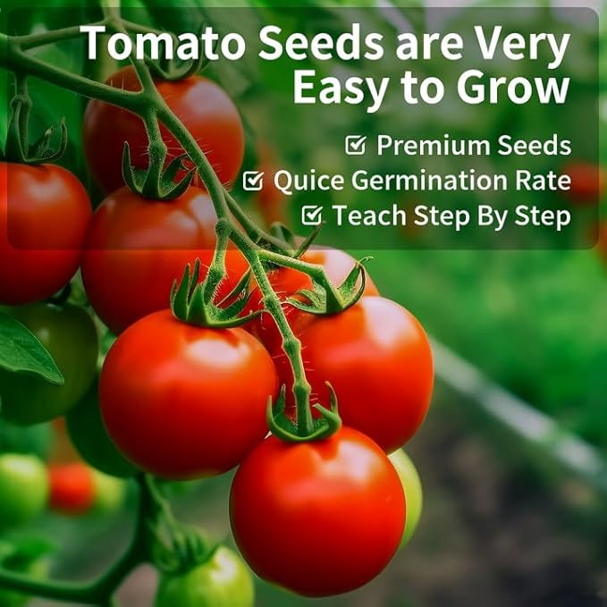 5 Tomato & Tomatillo Garden Seeds Variety Pack - Non-GMO Heirloom Tomato & Tomatillo Seeds with Planting Tools, All-in-One Growing Kit for Christmas Gift & Indoor Home Gardening