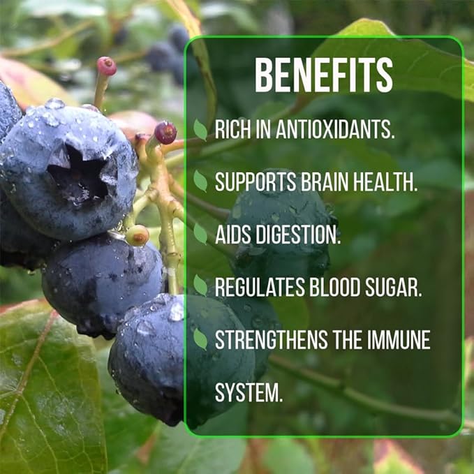 Pink Lemonade Blueberry (O'Neal)