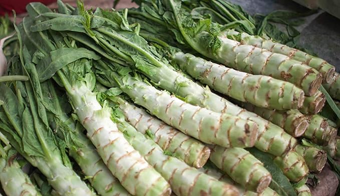 Seeds Asparagus Lettuce Celtuce - 65 Days for Salad - Heirloom Vegetable - GMO Free