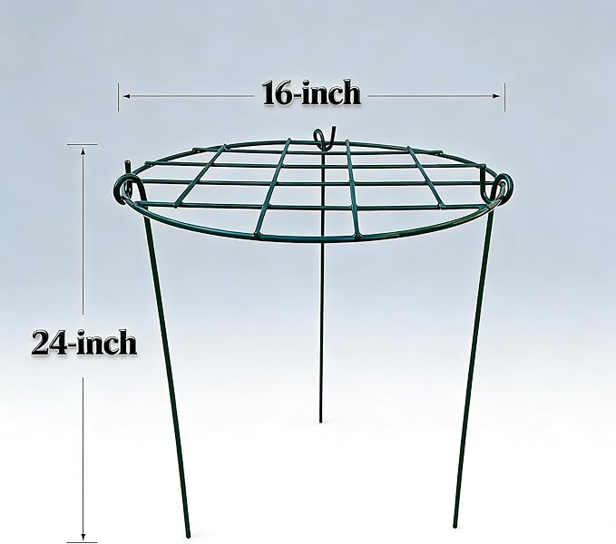 MTB Supply 5 Pack 16 x 24 inch Peony Cages,Grow Through Plant Support Stakes, Flower Support Hoops Heavy Plants Brace Rings