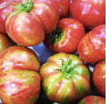 Vintage Wine Tomato Seeds - Large Tomato with Big Pink Tomatoes with Golden Stripes - One of The Most Delicious Tomatoes for Home Growing - 50 Seeds