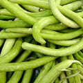 Long Cucumber Seeds, 40 Cucumber Plant Seeds, Cucumber Seeds for Planting Outdoors Indoors, Vegetable Seeds