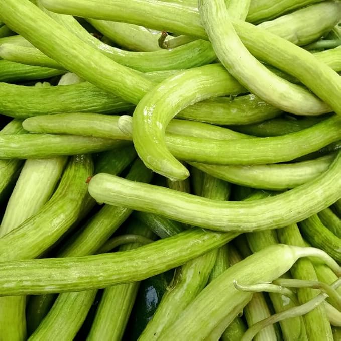 Long Cucumber Seeds, 40 Cucumber Plant Seeds, Cucumber Seeds for Planting Outdoors Indoors, Vegetable Seeds