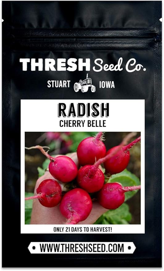 Cherry Belle Red Radish - 150 Seeds - Heirloom & Open-Pollinated Variety, Easy-to-Grow & Fast-Growing, Non-GMO Vegetable Seeds for Planting Indoors or Outdoors in The Home Garden, Thresh Seed Company
