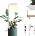 GLOWRIUM Grow Lights for Indoor Plants, Full Spectrum LED Grow Light Floor Lamp with Stand Adjustable Height and Angle, Black Plant Light with 3/9/12H Grow Light Timer (White, 6W)