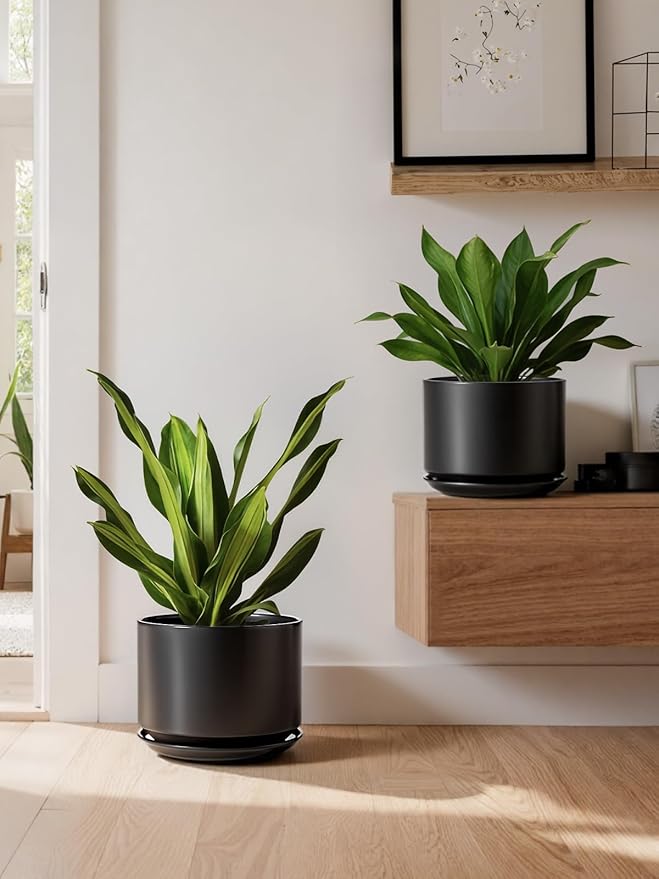 LE TAUCI Ceramic Pots for Plants, 8 Inch Plant Pot with Drainage Hole & Saucer, Modern Minimalist Planters for Indoor Plants, Round Flower Pot for Snake Plant, Monstera, Perfect for Home Decor, Black