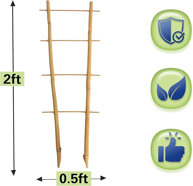 Bamboo Trellis 2FT 3 Pack, S2 Natural Bamboo Plant Ladder Stakes 24 Inch, Fan-Shaped Plant Support Stand for Orchid Vines, Monarchs, Ivy and Other Plants Climbing, Help Plant Growth