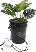5 Gal Hydroponic Growing System, Indoor Deep Water Culture with Drip Irrigation & Air Pump, 8" Basket Kit for Vegetables, Herbs, Home Garden