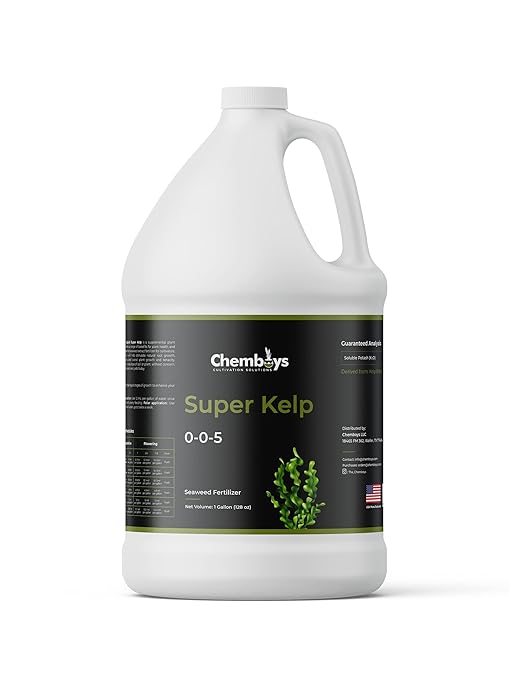 Chemboys Super Kelp Liquid Seaweed Fertilizer Kelp Plant Food Supplement for Plant Growth, Bloom & Yield Boost Liquid Seaweed Concentrate Garden Fertilizer - 1 Pint (16 fl oz)