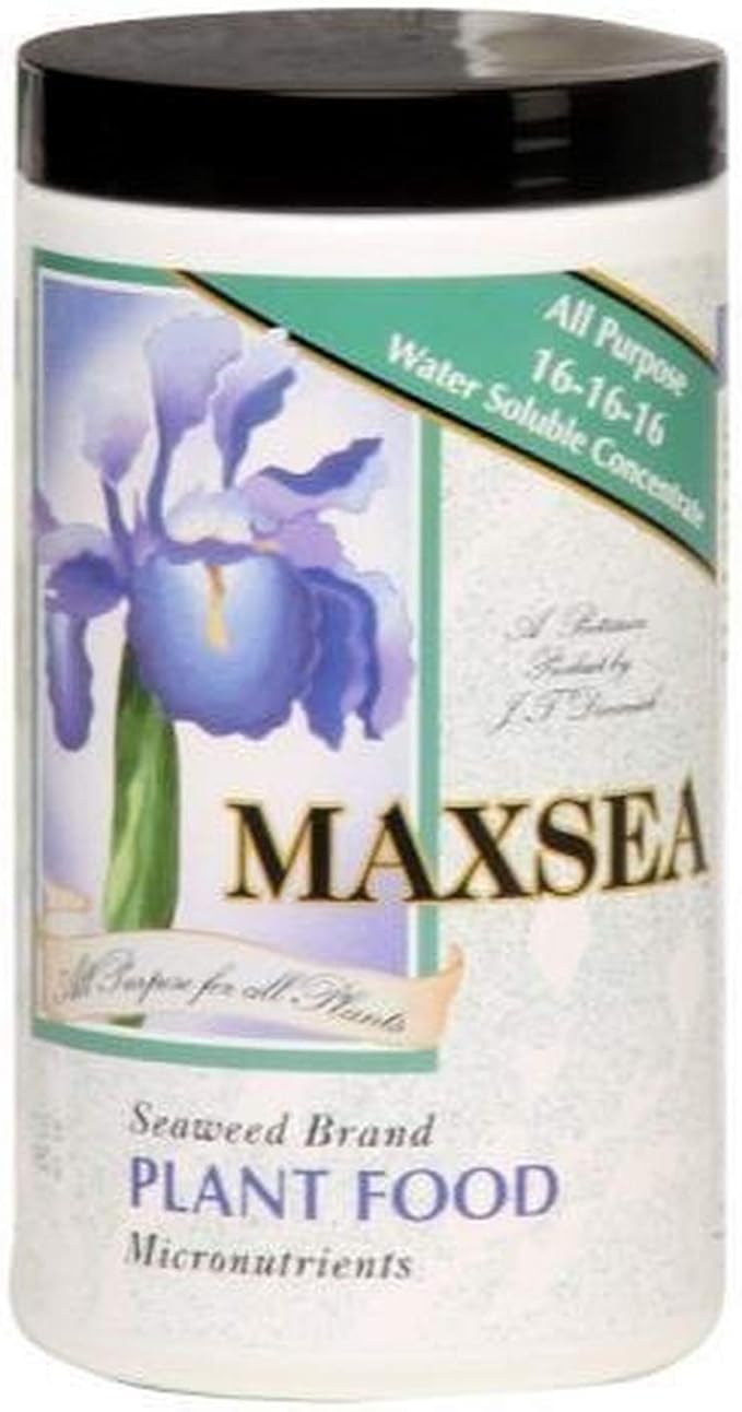 Maxsea All Purpose Plant Food 16-16-16, 1.5 lb.