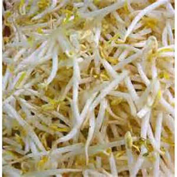 Peyton's Protein Mix Seeds for Sprouting Microgreens,4 Ounces,"COOL BEANS n SPROUTS" Brand, A superfood Packed with antioxidants. A Small Town Family Run USA Business.Thank You !