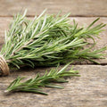 SeedsUP - 50+ Seeds Rosemary - Herb Green