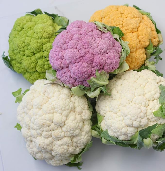 CEMEHA SEEDS - Seeds Cauliflower Cabbage Mix Non GMO Vegetable for Planting