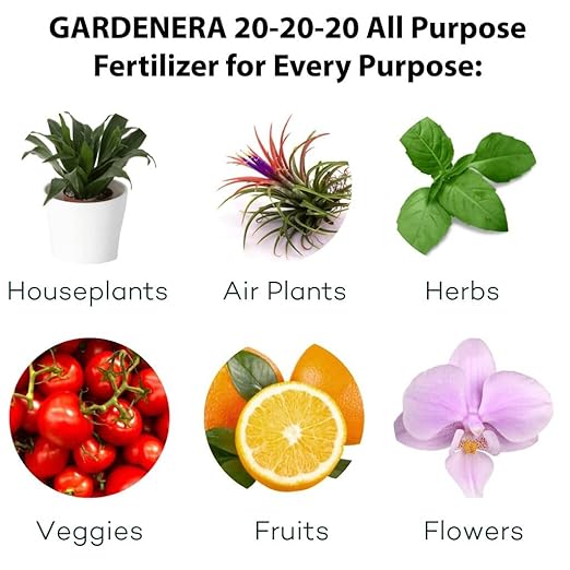 𝐁𝐄𝐒𝐓𝐒𝐄𝐋𝐋𝐄𝐑 20-20-20 Water-Soluble Fertilizer – Powder for Liquid Plant Food for Indoor & Outdoor Plants, Orchids, Vegetables, Lawns, Flowers – 20 20 20 Fertilizer - 3 Quarts