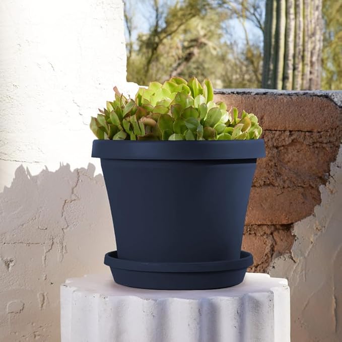 Bloem Terra 12" Diameter Round Navy Resin Planter Pot with Drainage Holes for Indoor and Outdoor Gardening